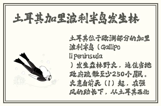 儿媳妇夸我比他老公大怎么回复